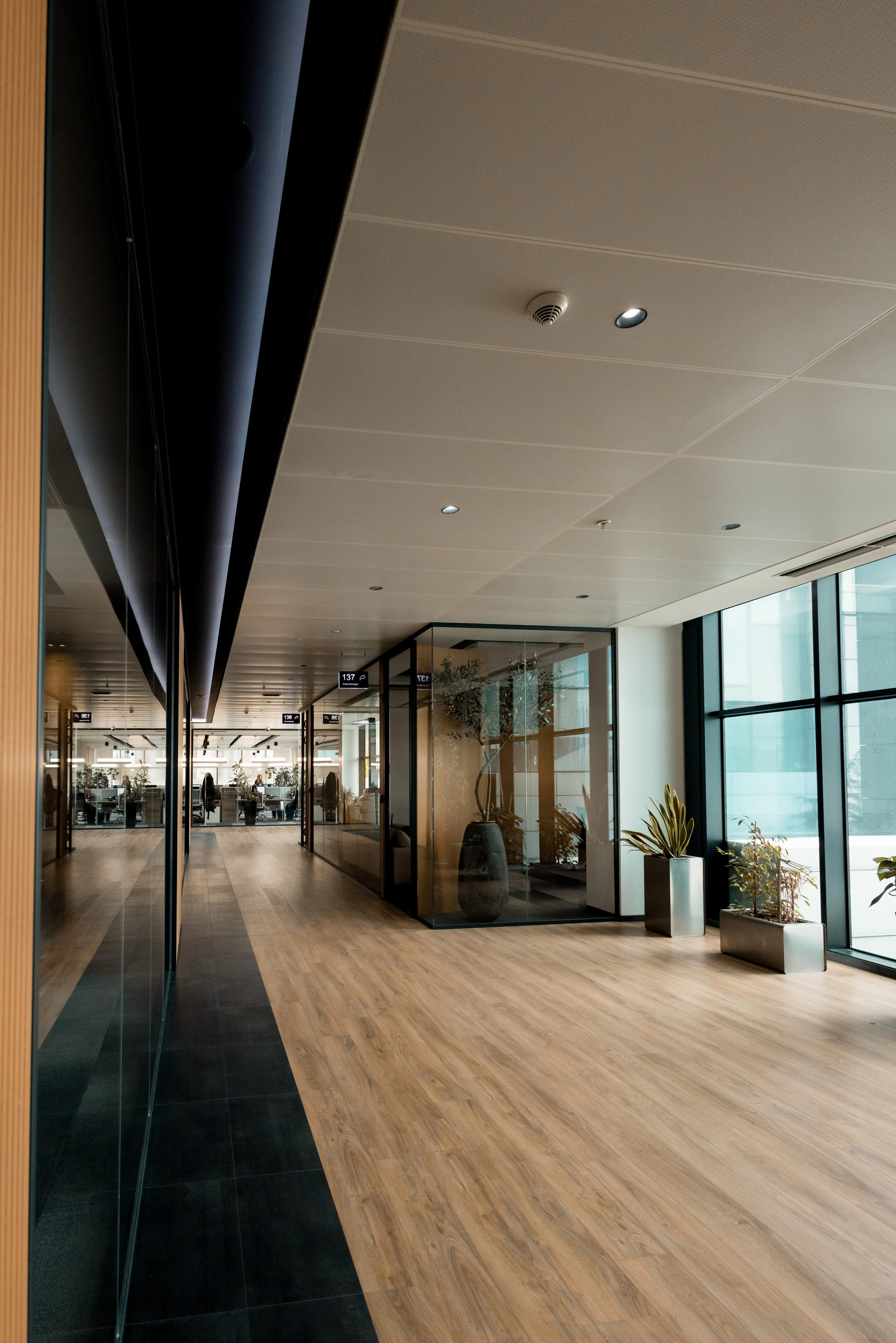 CFO Pharma — office corridor — glass and stone