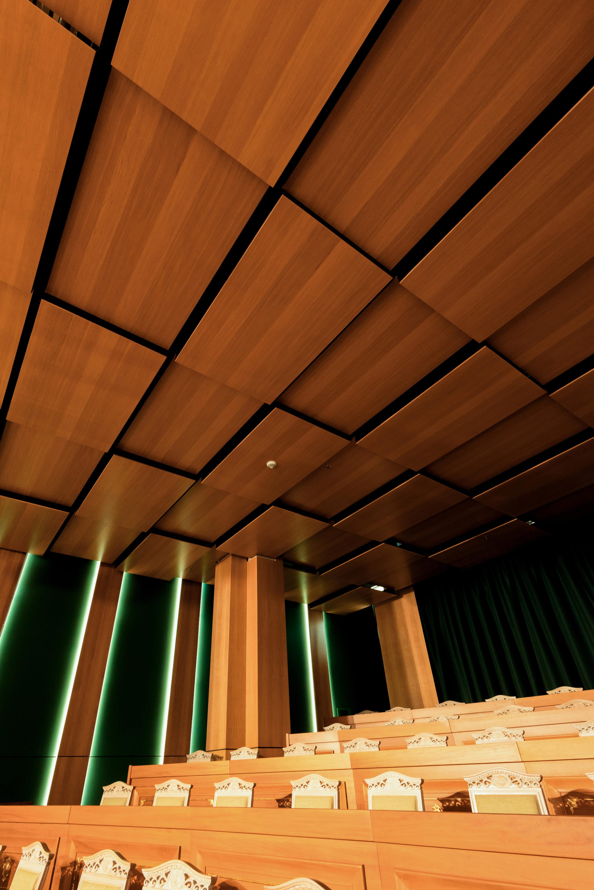 CFO Pharma — auditorium — slatted timber ceiling