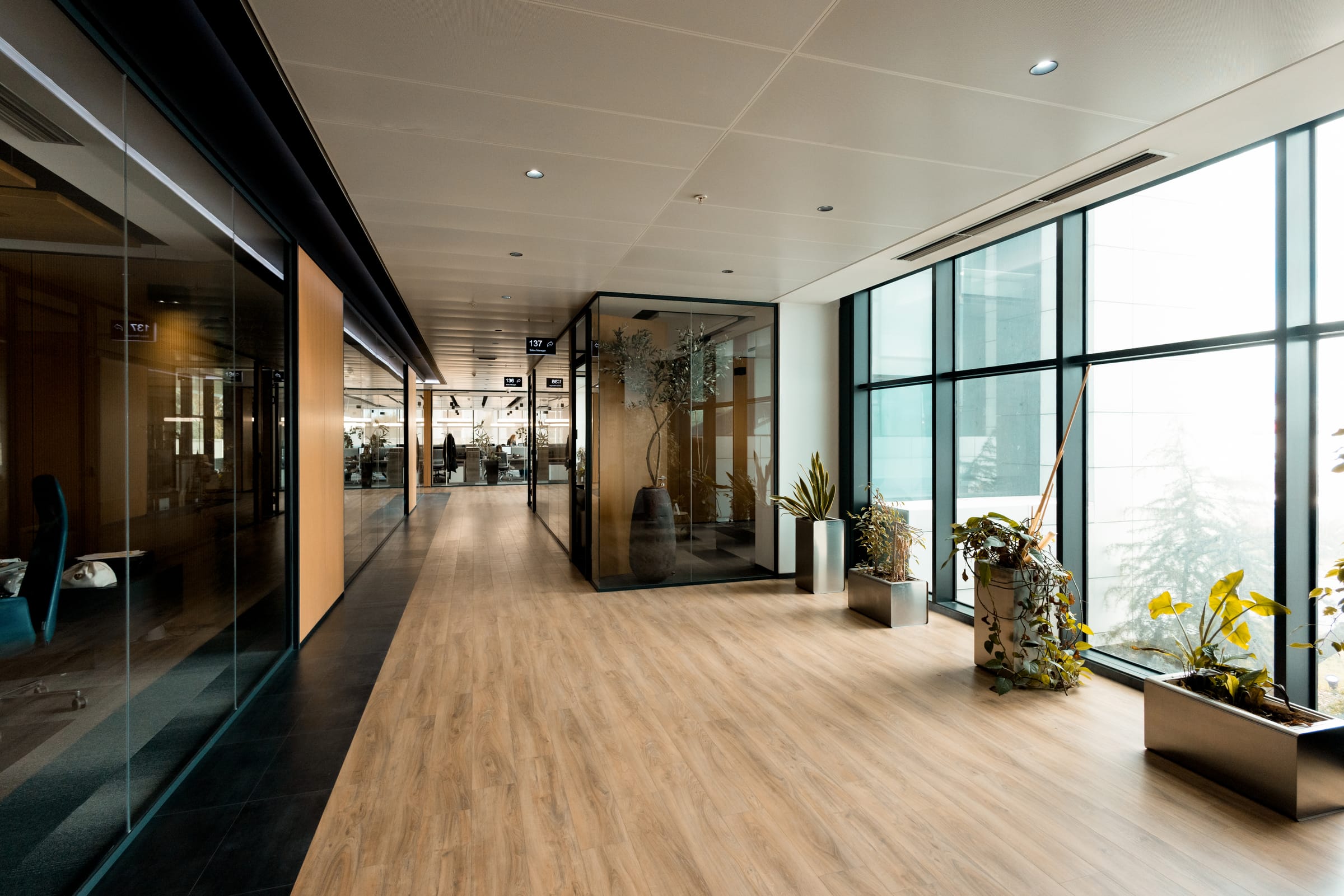 CFO Pharma — office corridor — glazed, daylight